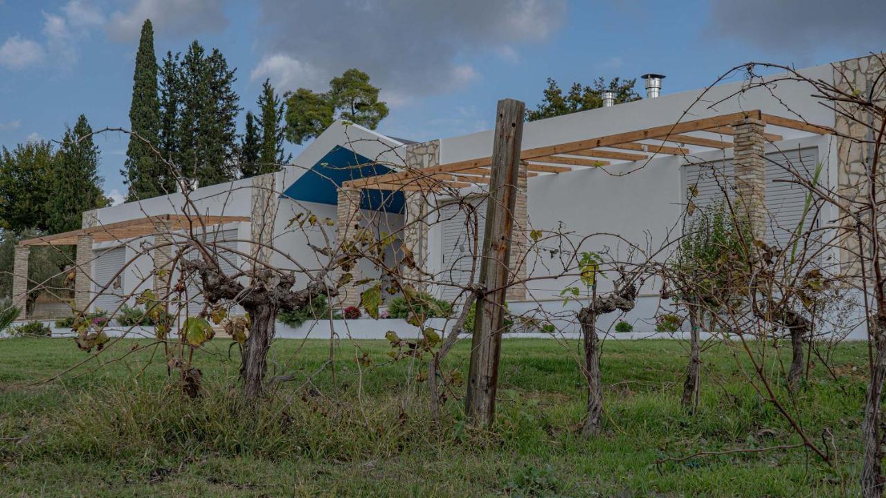 Atrium Vinea Brintziki Winery Διαμέρισμα Smila Εξωτερικό φωτογραφία
