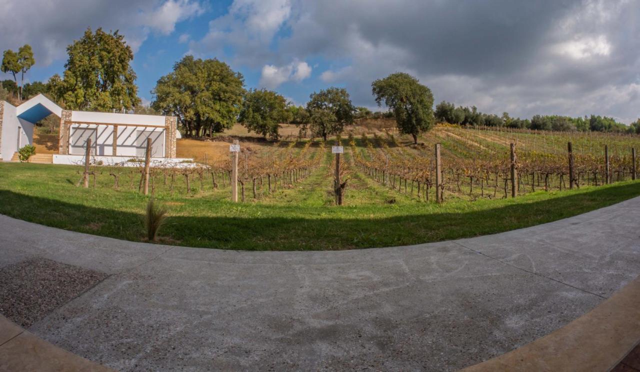 Atrium Vinea Brintziki Winery Διαμέρισμα Smila Εξωτερικό φωτογραφία