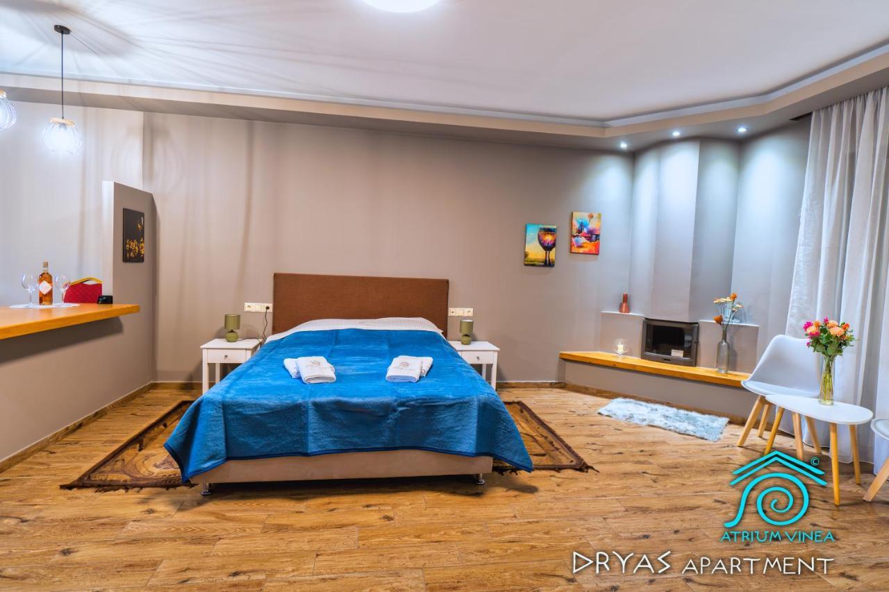 Atrium Vinea Brintziki Winery Διαμέρισμα Smila Εξωτερικό φωτογραφία