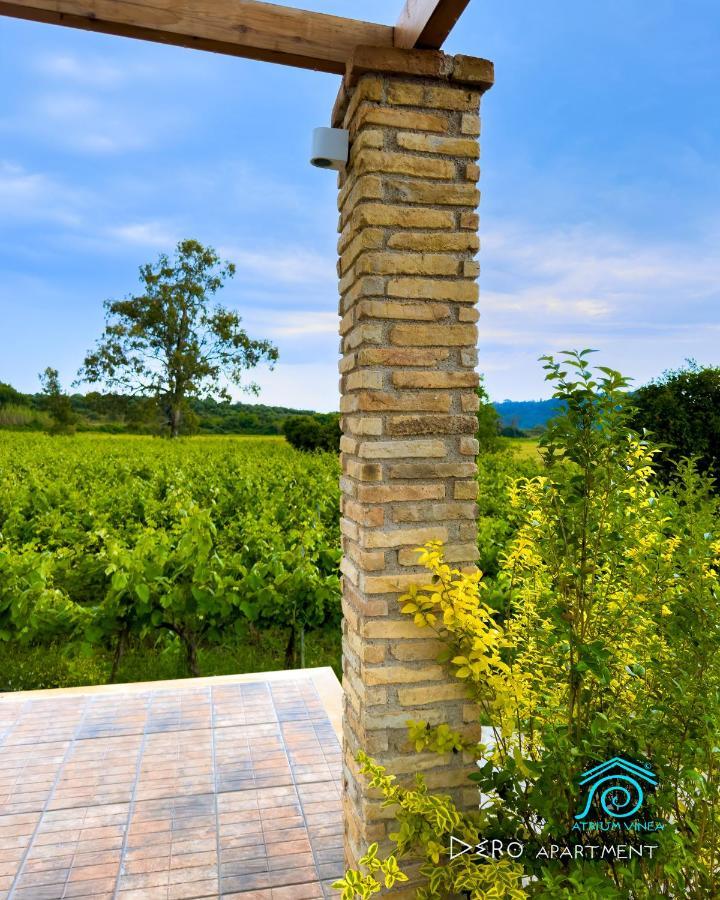 Atrium Vinea Brintziki Winery Διαμέρισμα Smila Εξωτερικό φωτογραφία